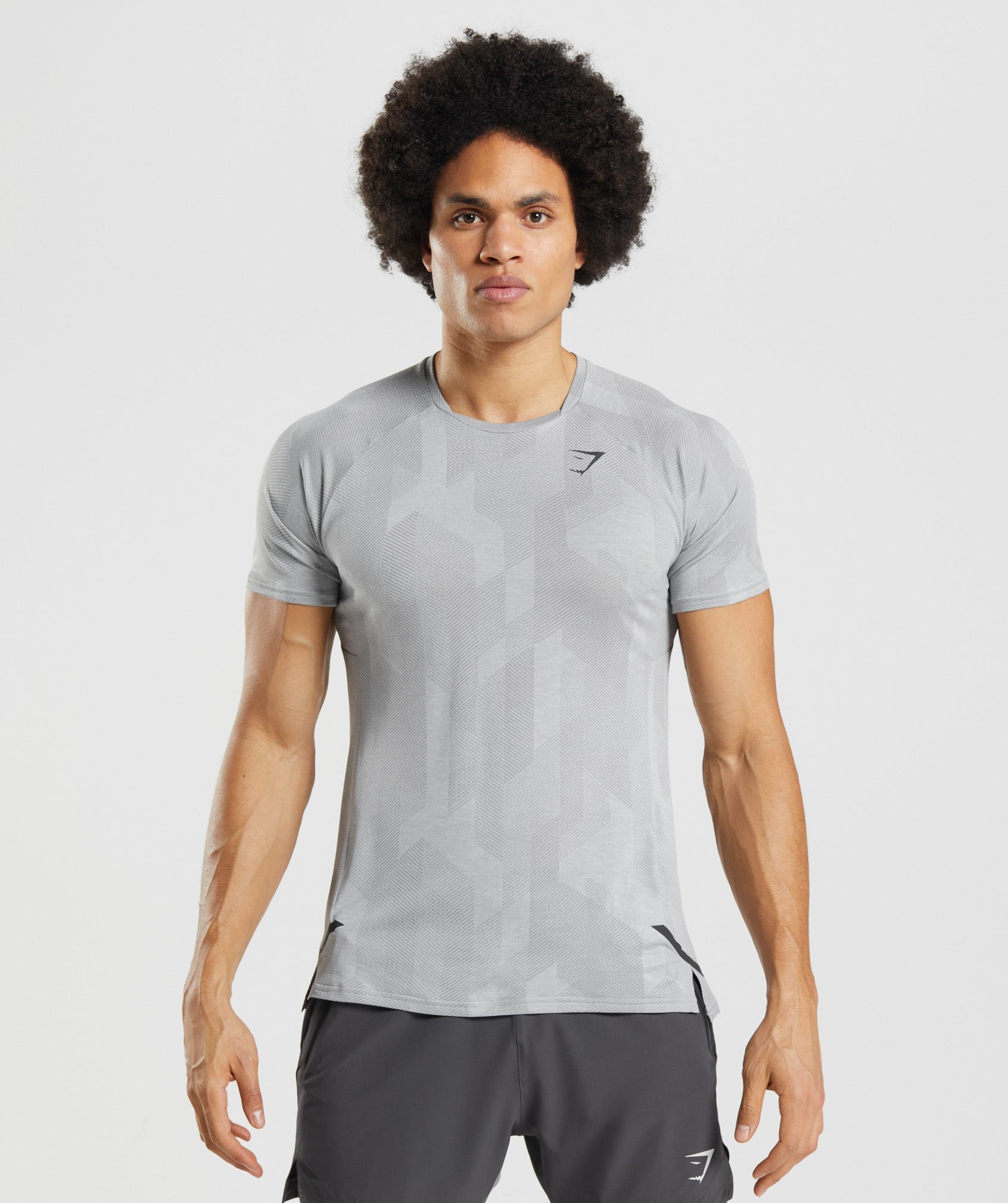 Camiseta Gymshark Apex Hombre Gris | 4523806-HG