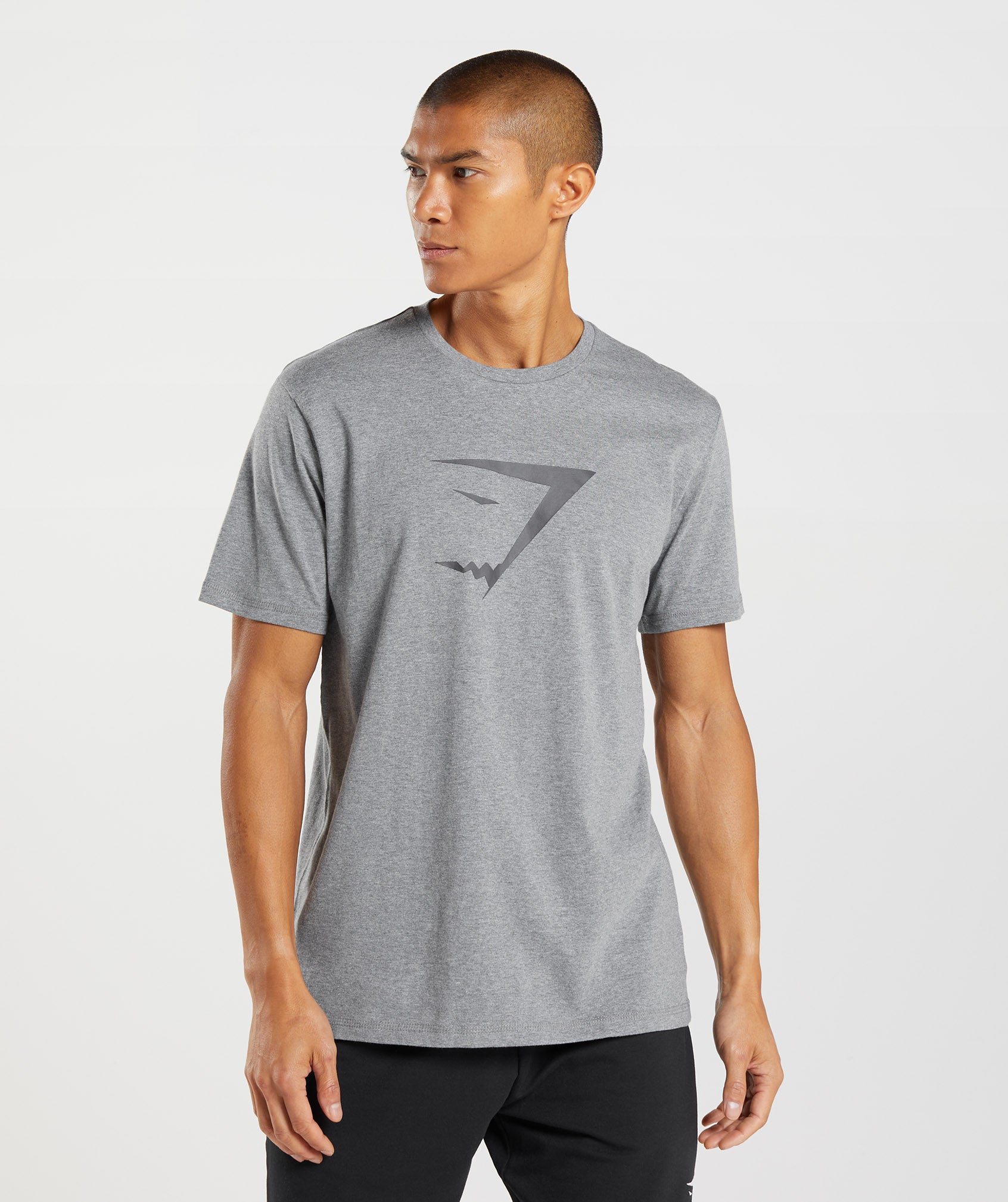 Camiseta Gymshark Sharkhead Infill Hombre Gris | 4098527-JQ