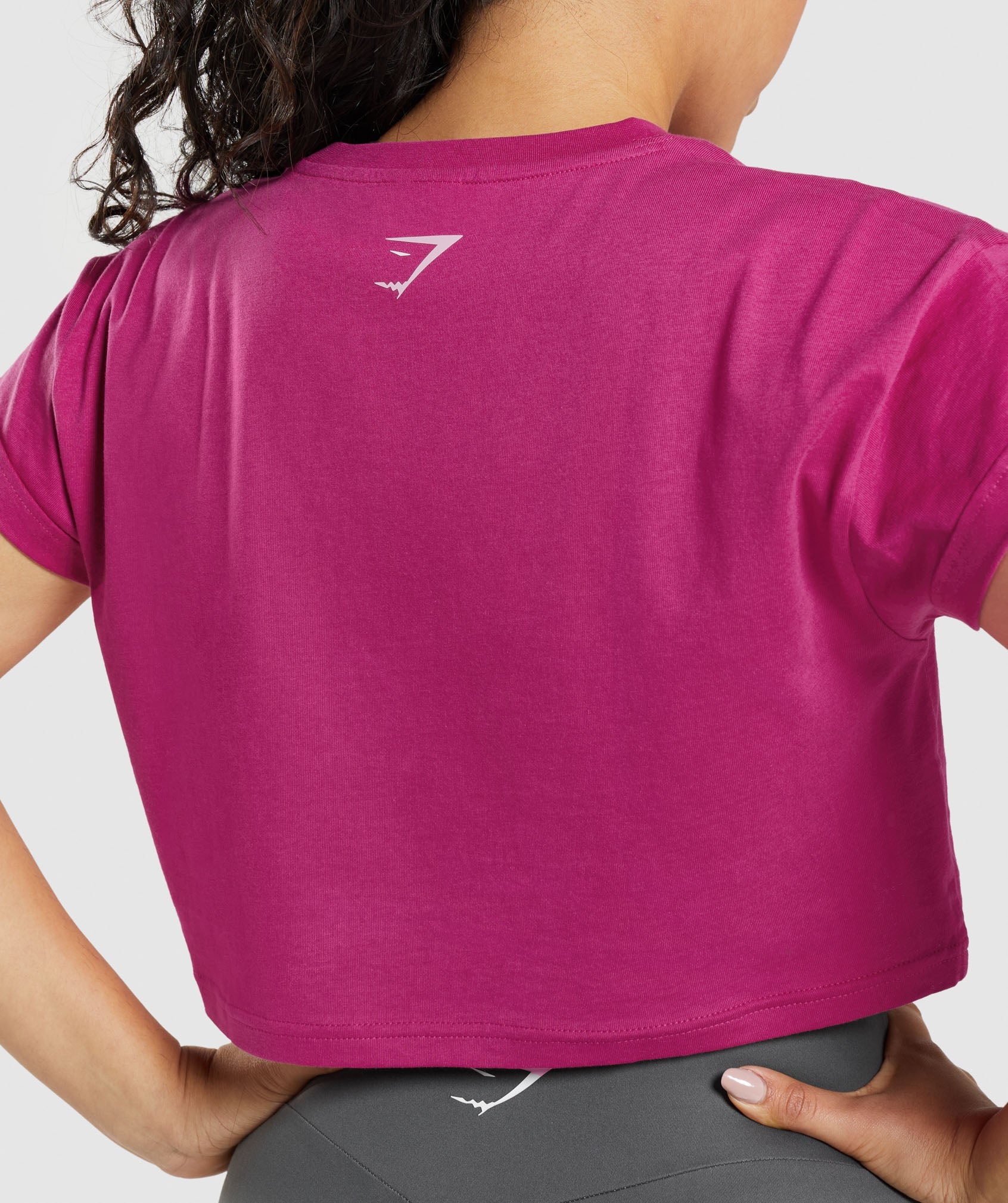 Tops Gymshark Fraction Crop Mujer Rosas | 3872104-IF