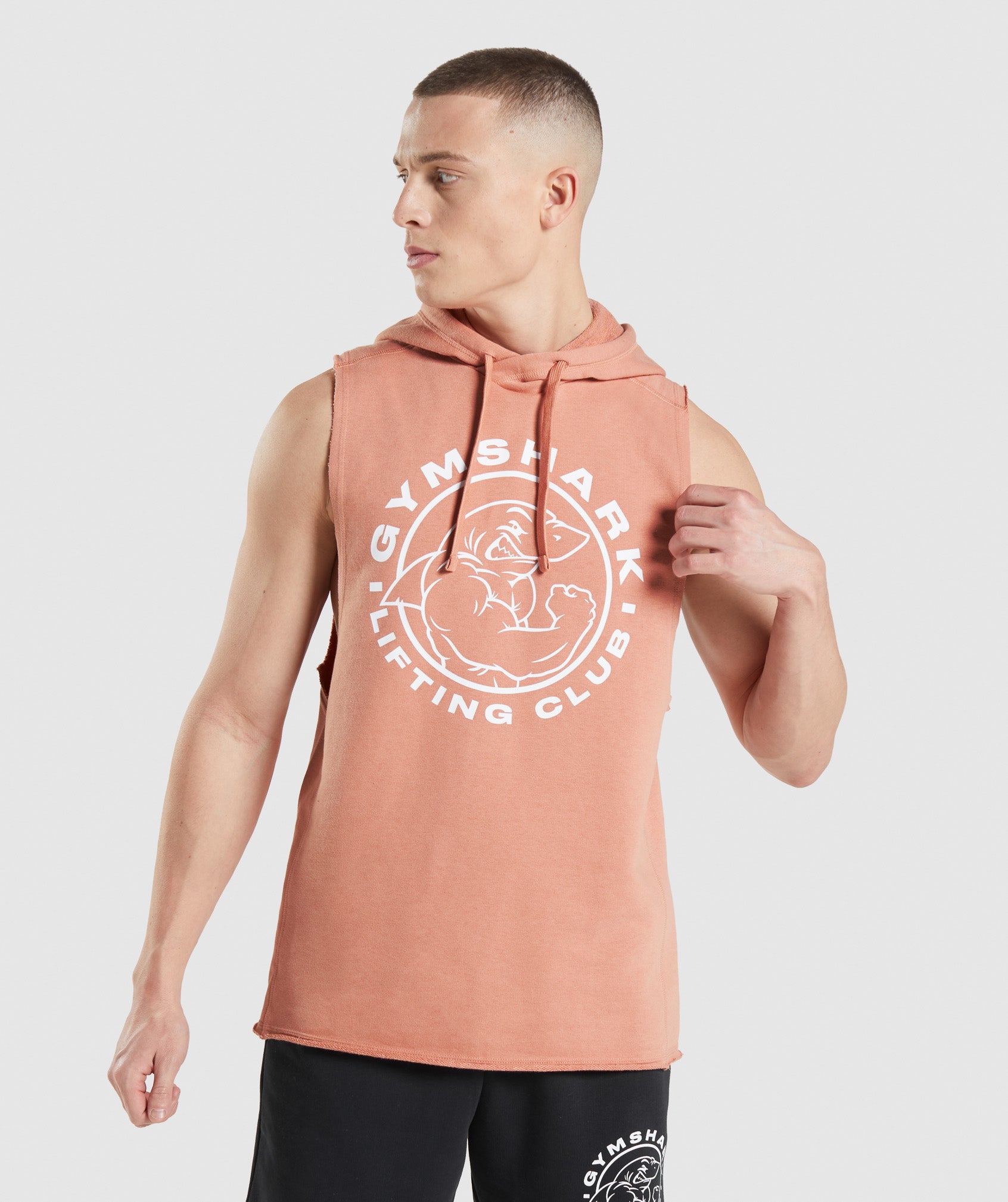 Sudadera Con Capucha Gymshark Legacy Drop Arm Hombre Rosas | 1783249-CW